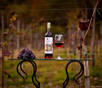 Wine tour